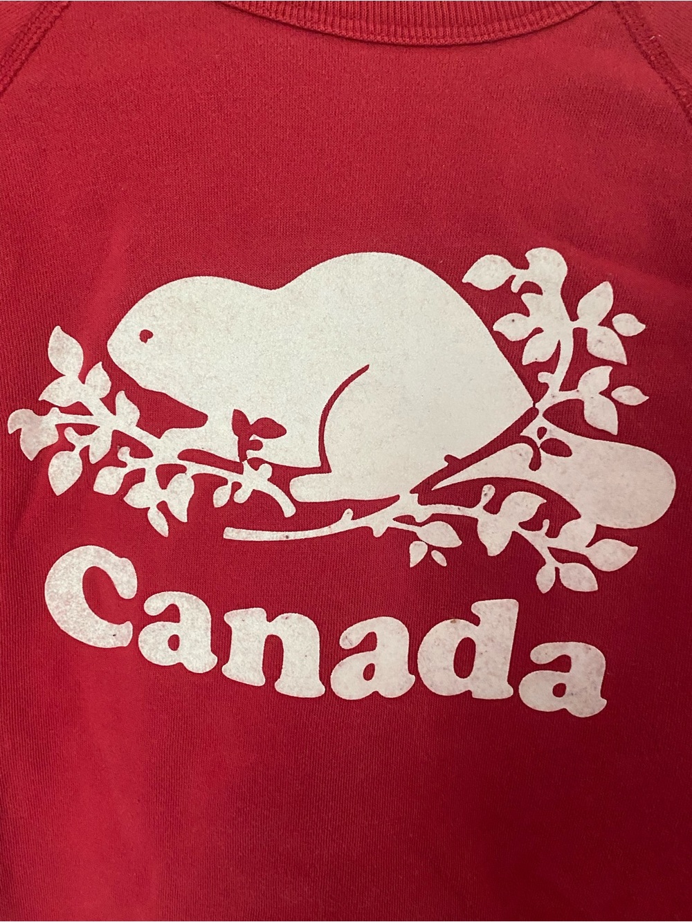 Rare ROOTS Made in Canada - Picture 2 of 11